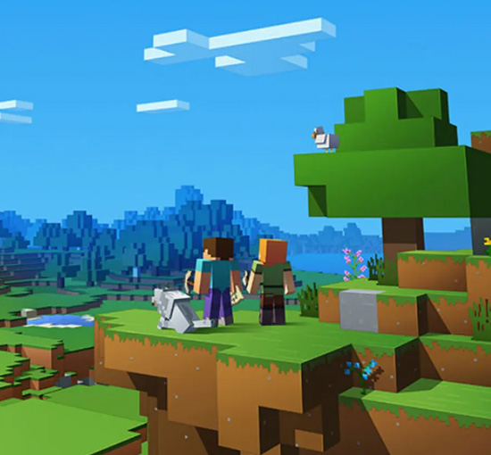 Project Survival S9 - Minecraft Server